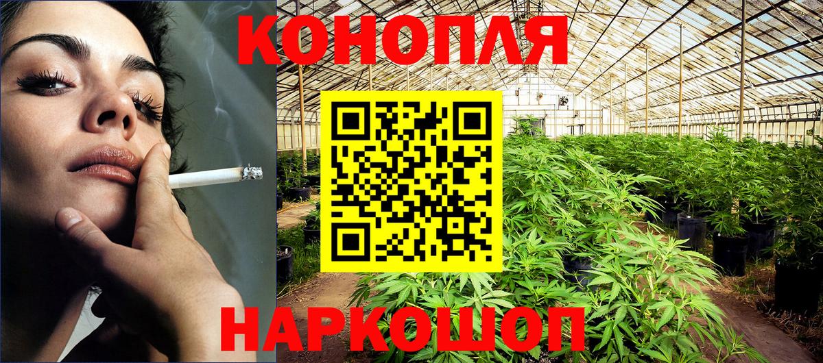 Шишки марихуана марихуана  Канабис White Widow  Канабис VHQ  Гусев  Вход с VPN 
